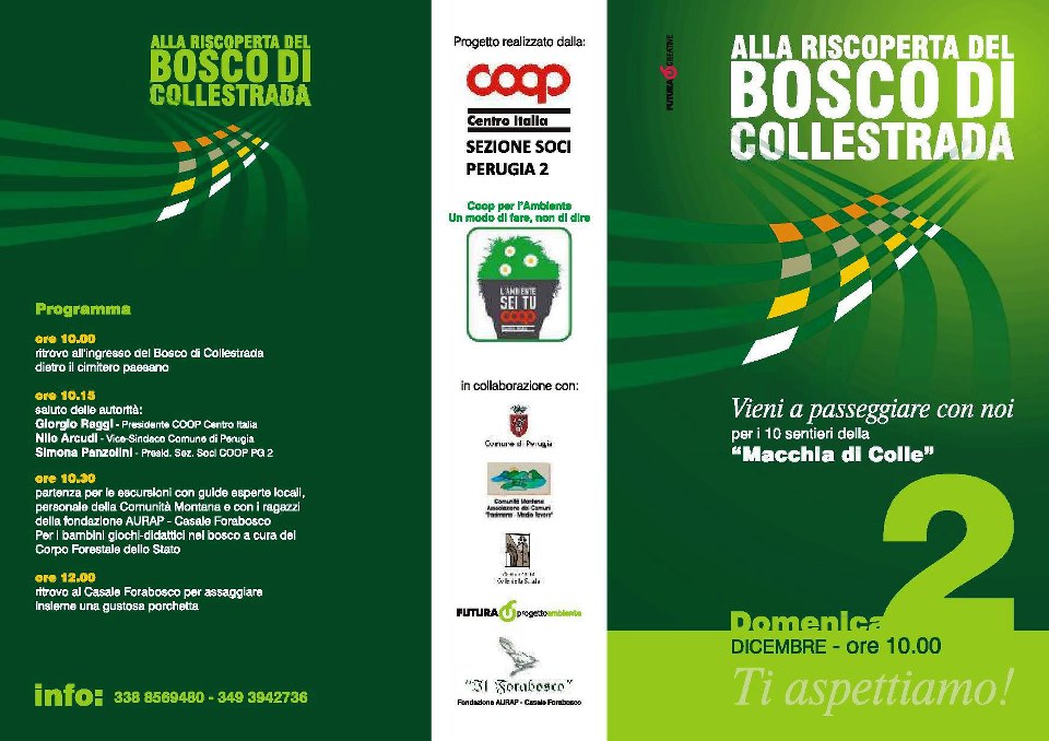 alla riscoperta del bosco di collestrada 02.12.2012